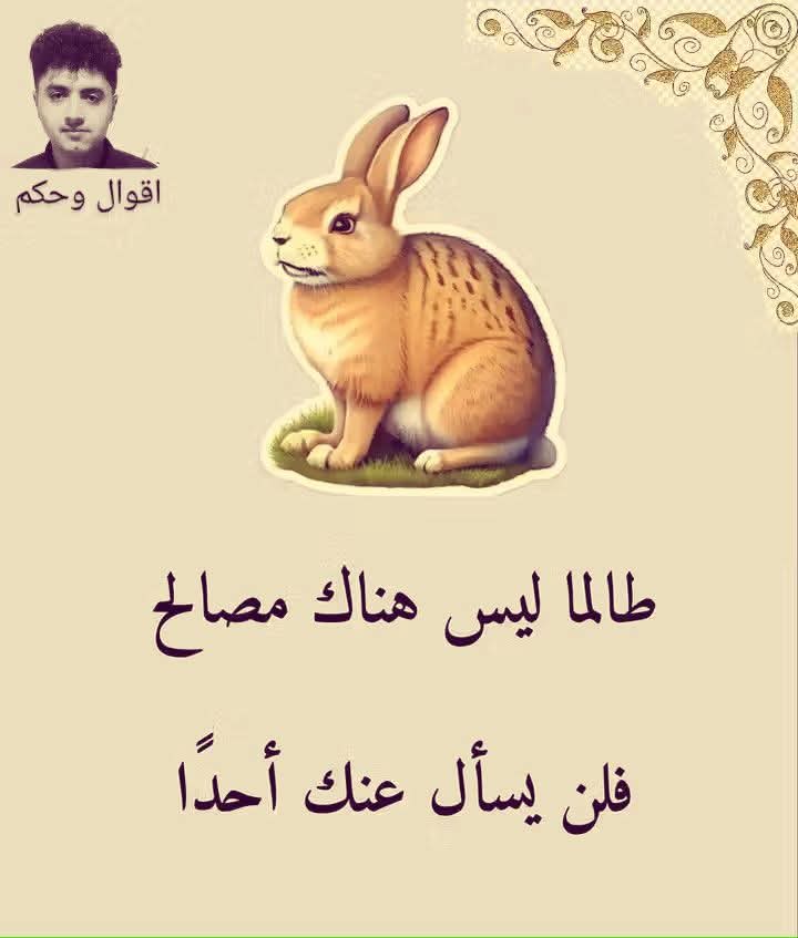 Jall Kasem (@kasemjall61104) on Twitter photo 