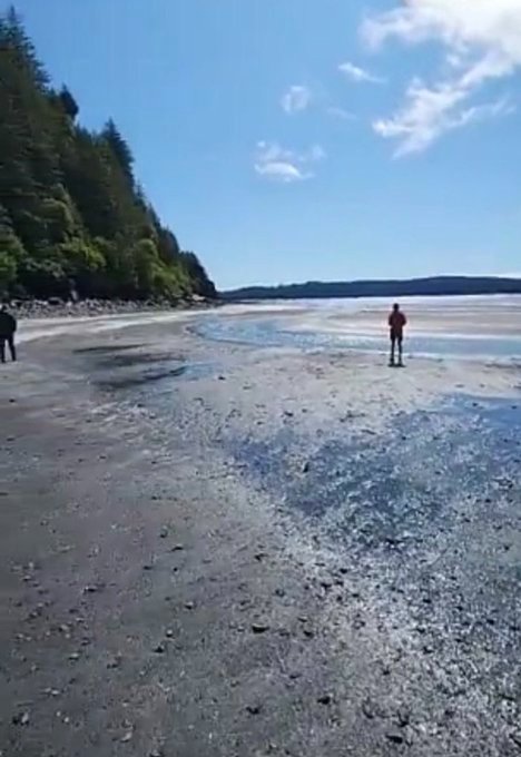 Srite91's tweet image. ALASKA TSUNAMI WARNING IS CANCELED!!  
There WAS a tsunami, but it was only 0.2 feet at Sand Point, Alaska.  
ALL CLEAR GIVEN.
More: rity.site/4Epf3