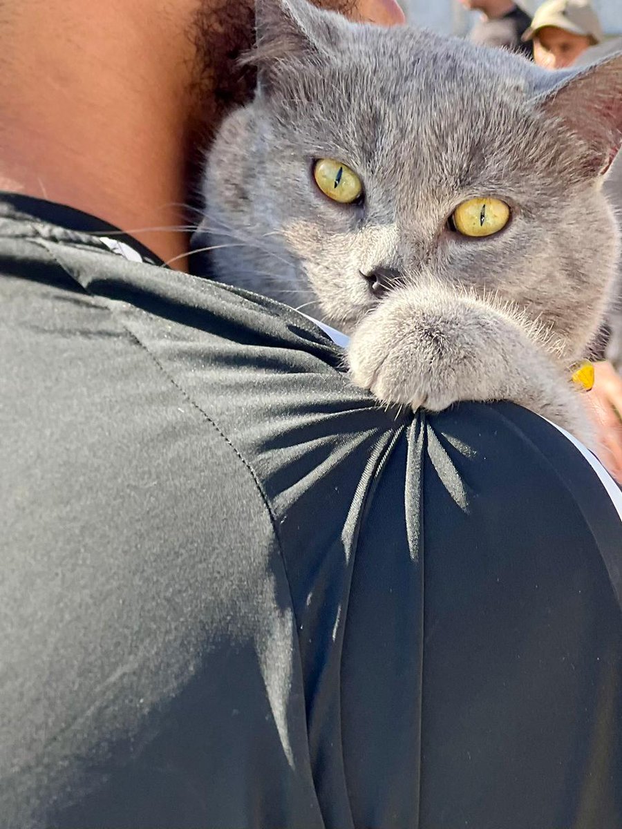 safehaven4donks's tweet image. Not just donkeys! The team in Nablus recently hosted a local free rabies vaccination programme in partnership with the local authorities where any animal could be brought along. 13 vets, students and vet technicians helped Dr Rakan vaccinate over 150 animals!