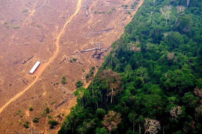 acervofenetoo's tweet image. O Brasil se orgulha da sua biodiversidade, dos povos indígenas e ribeirinhos.
Mas o CONGRESSO DA DEVASTAÇÃO insiste em aprovar projetos que rasgam conquistas ambientais históricas.
VETA LULA!