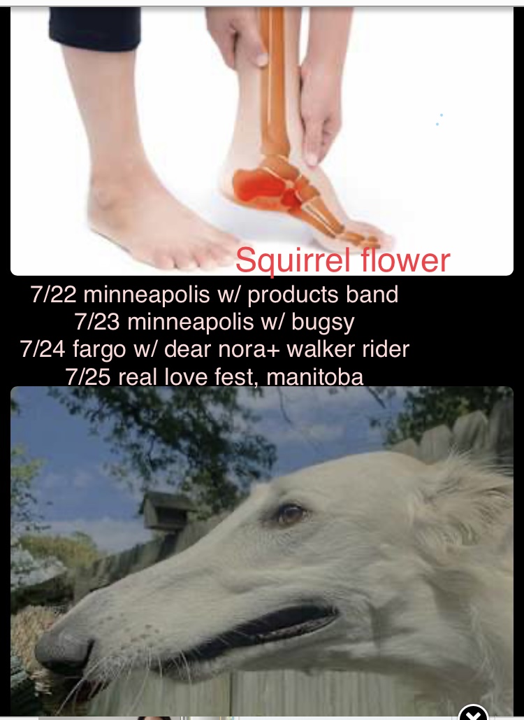 next week
mpls shows low tix
squirrelflower.net/tour