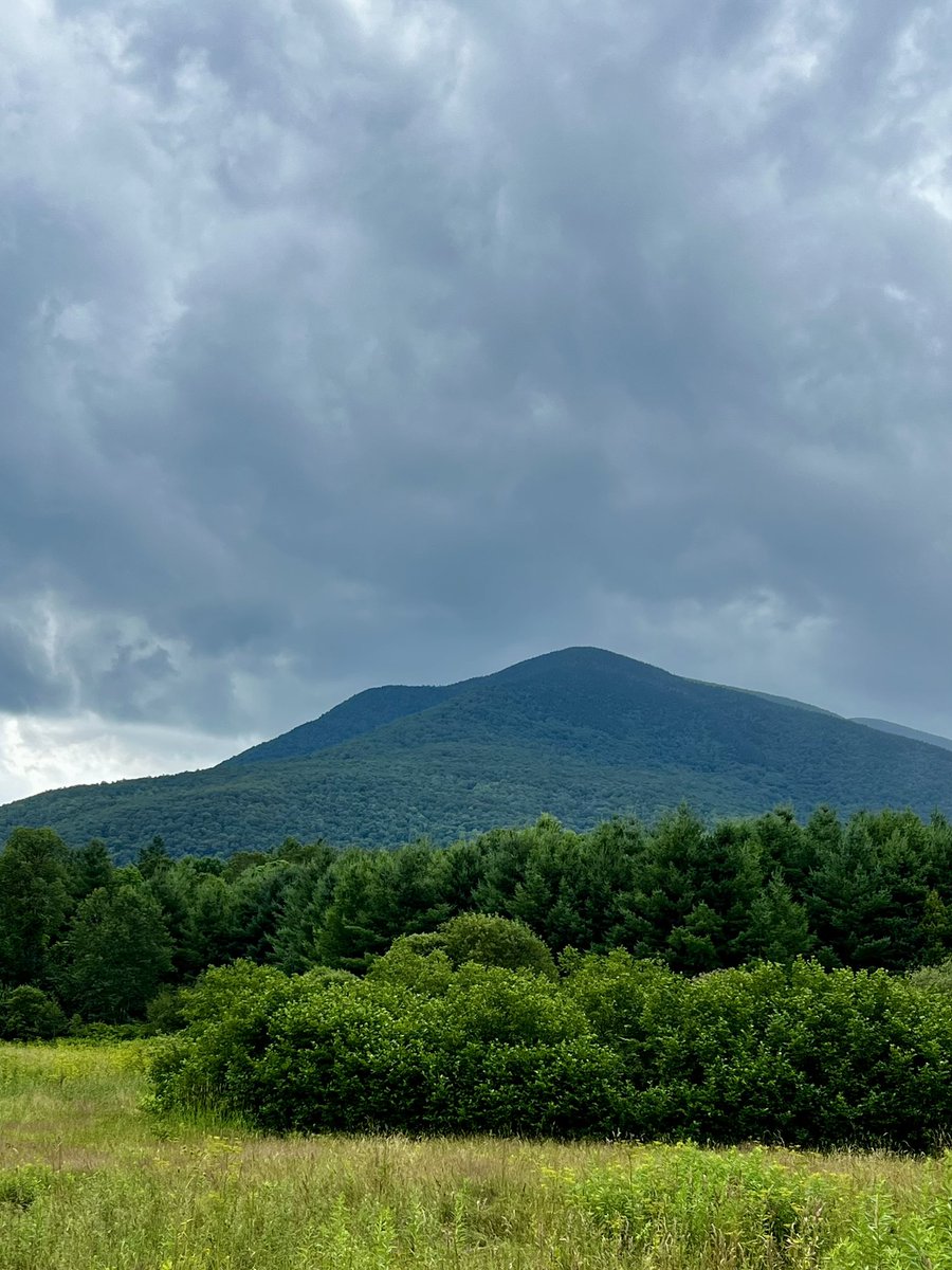 dustoff_1sg's tweet image. Vermont Summer 2025 - Dorset Mountain.