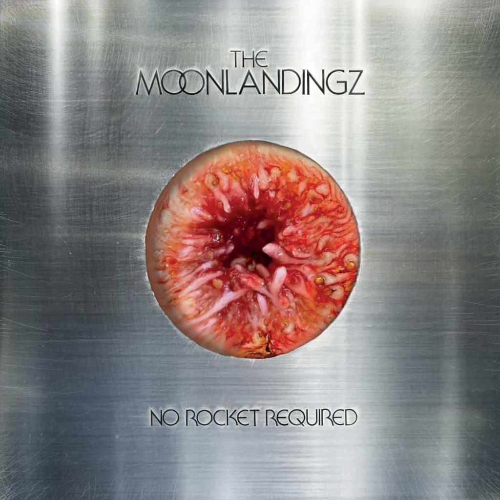 58. The Moonlandingz - No Rocket Required
Another great release by The Moonlandingz, full of uncompromising post-punk over dance beats and featuring some excellent guest appearances as well. Can't wait to see them at Krankenhaus Festival next month