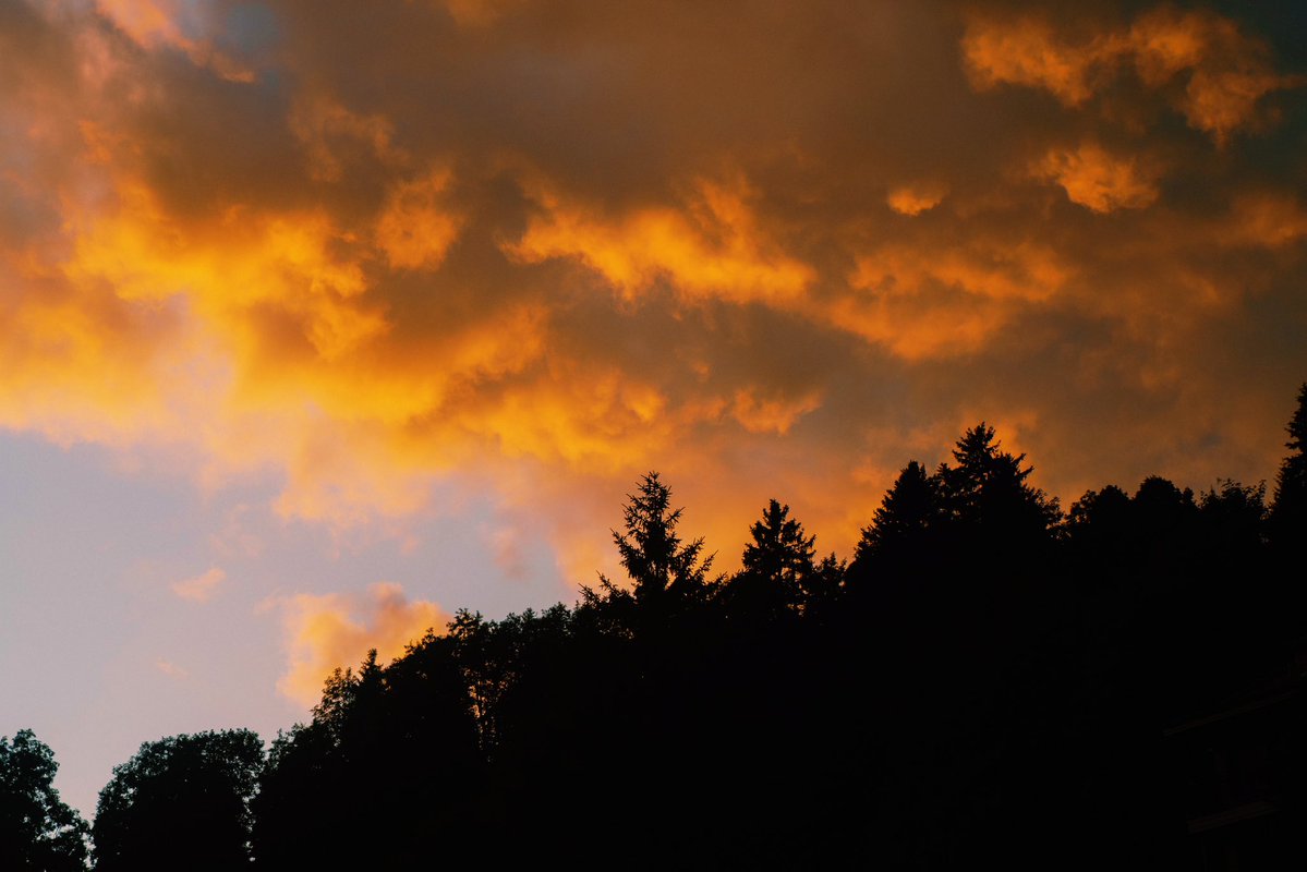 DanielCasson1's tweet image. Evenings in Wengen //