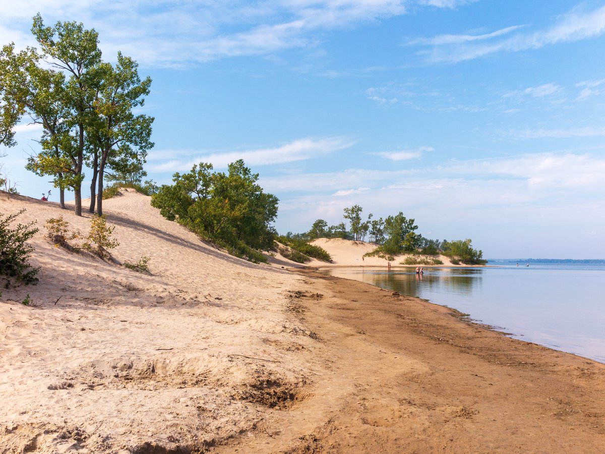 Canada's tweet image. No need to cross continents to experience breath-taking sand dunes, we have plenty here in #Canada! From coast to coast, our country is filled with sandy shores. Share your pics below! 🏖️⬇️
📍Athabasca Park, SK
📍Carcross, YK
📍Sandbanks, ON
📍PEI National Park, PEI
