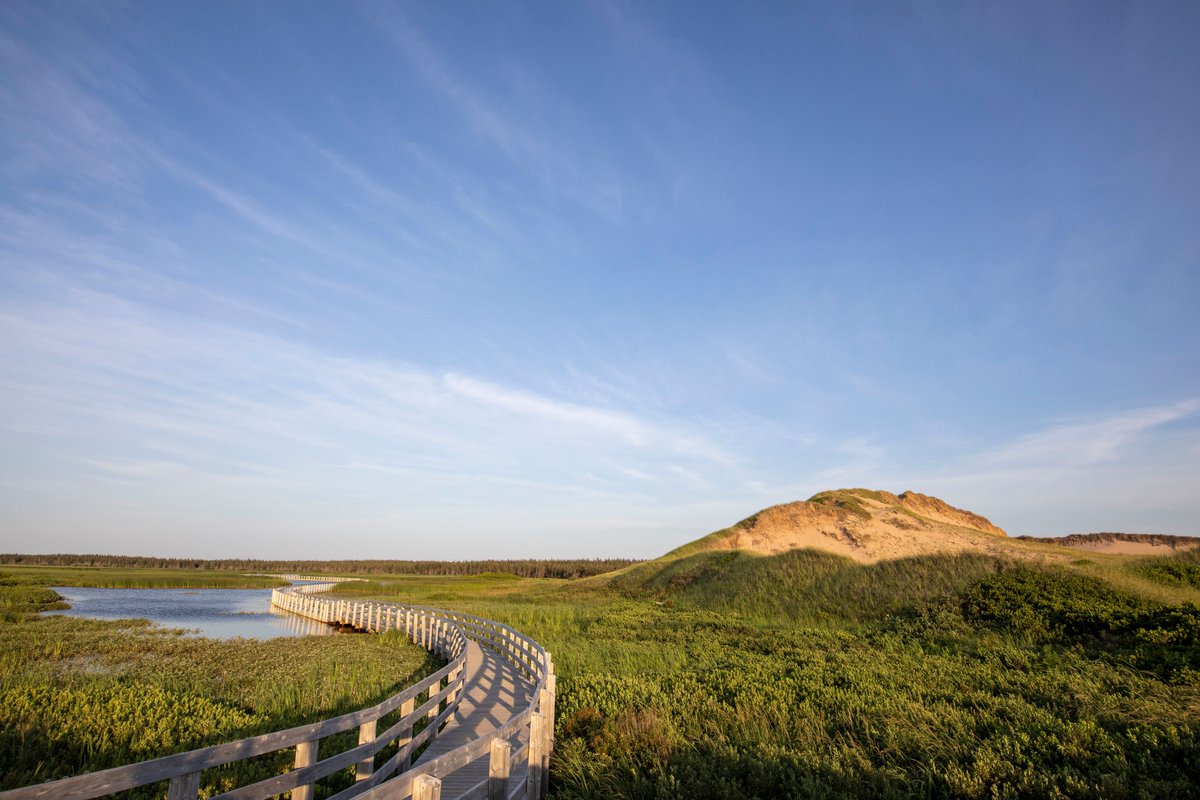 Canada's tweet image. No need to cross continents to experience breath-taking sand dunes, we have plenty here in #Canada! From coast to coast, our country is filled with sandy shores. Share your pics below! 🏖️⬇️
📍Athabasca Park, SK
📍Carcross, YK
📍Sandbanks, ON
📍PEI National Park, PEI