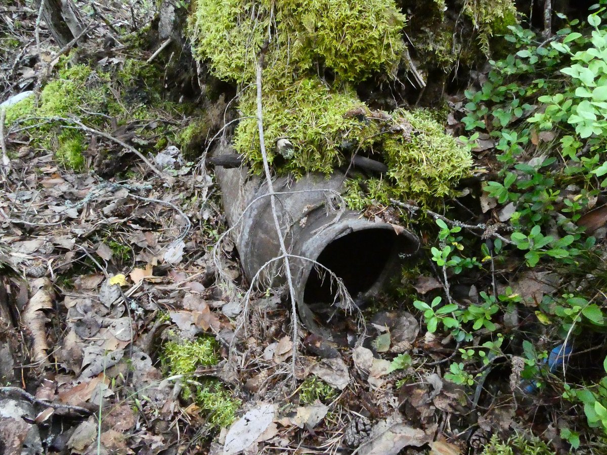 half__watt's tweet image. Milk jug in the bottom of a ww2 trench