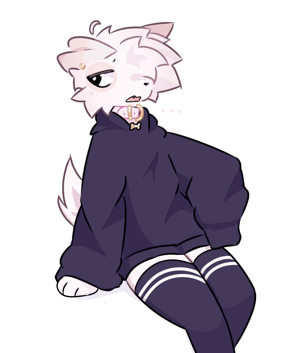 toreighg's tweet image. burrito
