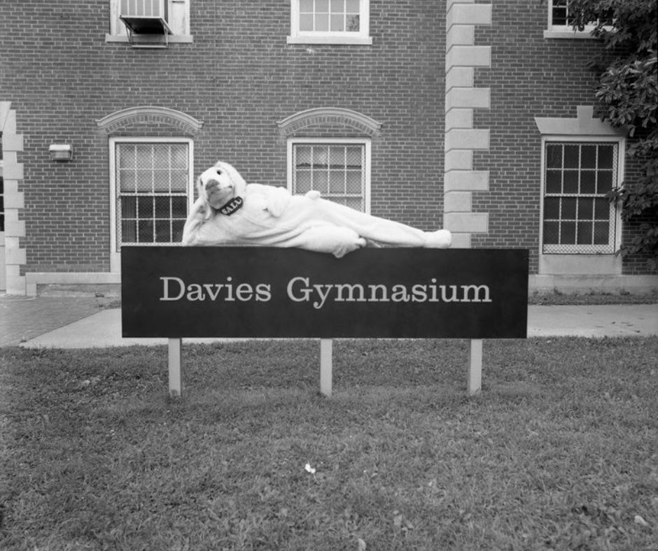 #TBT to the old mascot getting ready to hit the weight room at Davies Gym. What is your favorite version of our Mascot? #SIUAlumni #SalukiForLife #ThrowbackThursday #SIU