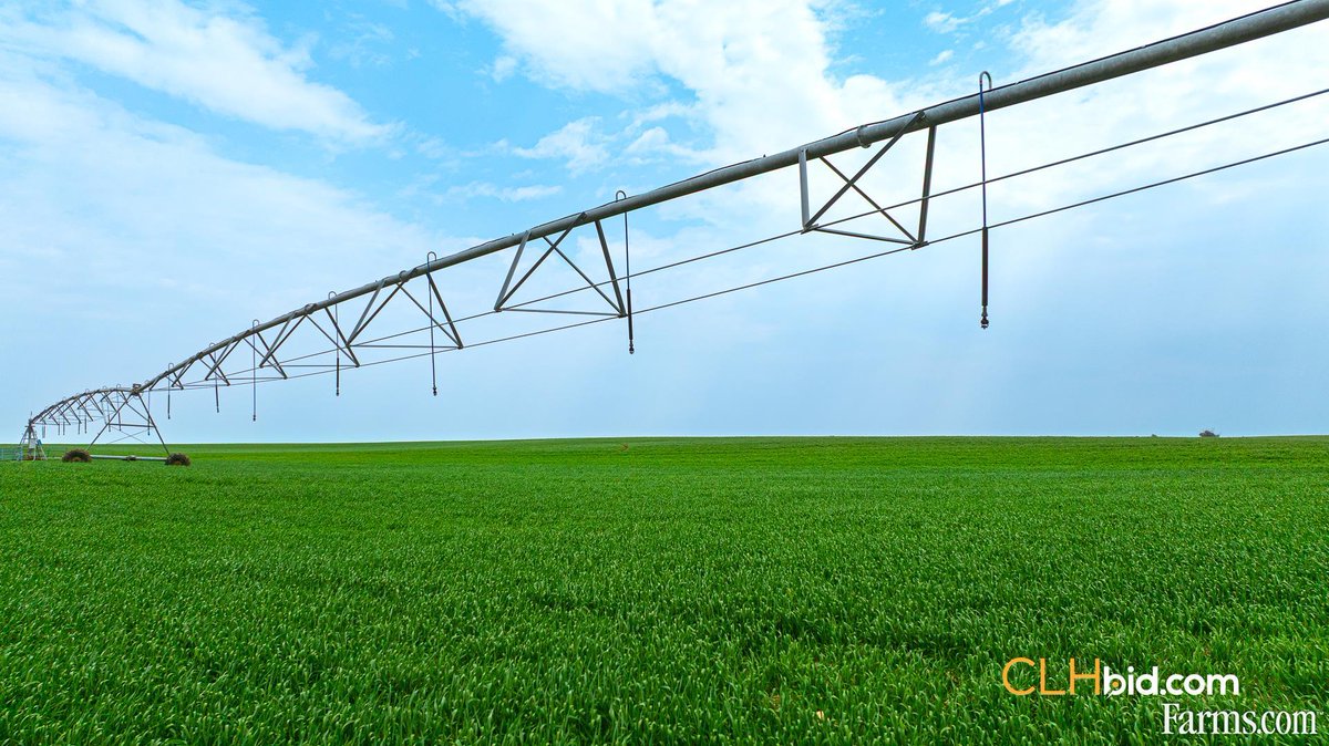 FarmsPrairies's tweet image. 172 acre cash crop farm is for sale in Taber, Alberta 👇
172 irrigation acres, a rare opportunity to expand your irrigated footprint in one of Alberta’s most productive farming regions!
farms.com/farm-real-esta…
#FarmRealEstate @clhbid