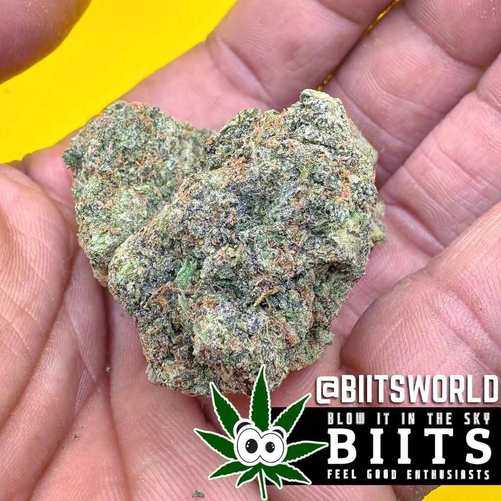 biitsworld's tweet photo. Gumbo is an indica weed strain made by crossing two unknown strains. Gumbo is named for its signature bubblegum flavor. This strain produces relaxing and sleepy indica effects. Gumbo features a piney aroma with a smooth finish.

.link on bio .. https://t.co/uUhkYpO9YV