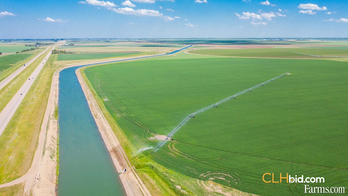 FarmsPrairies's tweet image. 172 acre cash crop farm is for sale in Taber, Alberta 👇
172 irrigation acres, a rare opportunity to expand your irrigated footprint in one of Alberta’s most productive farming regions!
farms.com/farm-real-esta…
#FarmRealEstate @clhbid