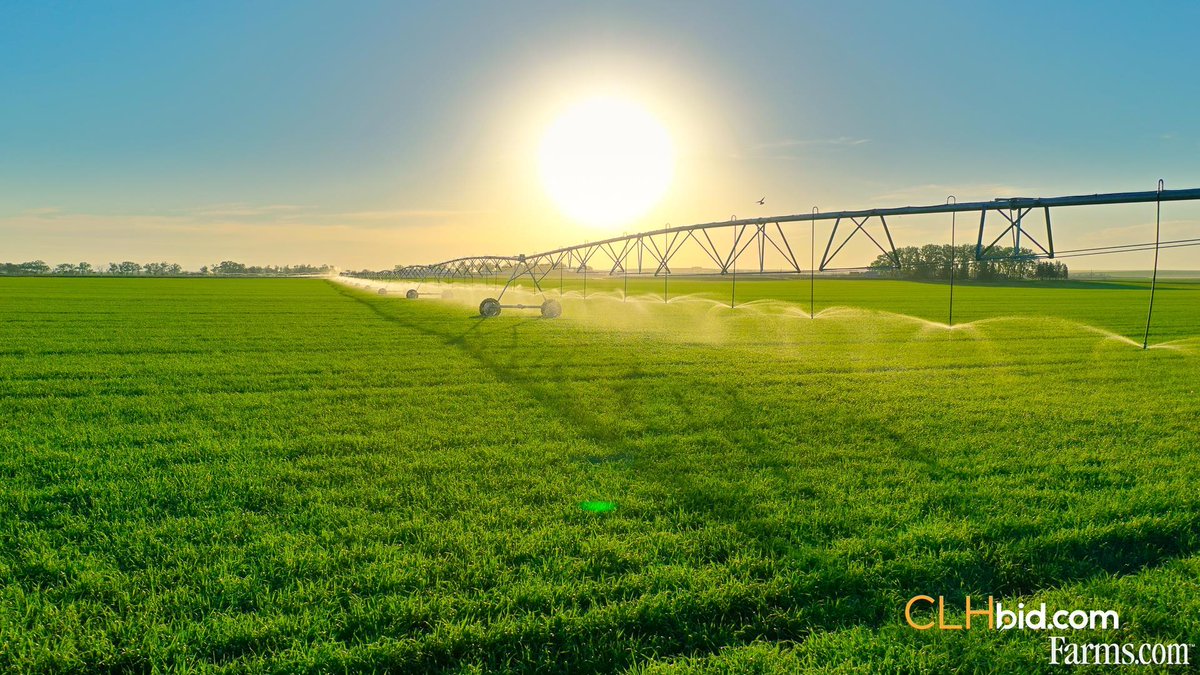 FarmsPrairies's tweet image. 172 acre cash crop farm is for sale in Taber, Alberta 👇
172 irrigation acres, a rare opportunity to expand your irrigated footprint in one of Alberta’s most productive farming regions!
farms.com/farm-real-esta…
#FarmRealEstate @clhbid