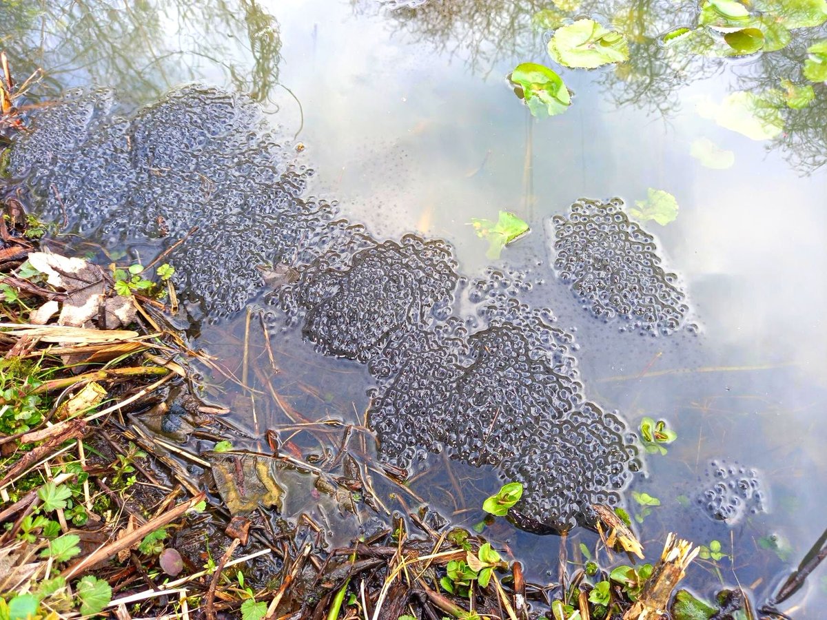 TCV Skelton Grange - Summer Newsletter 🌼 - mailchi.mp/52b11dba597e/s…