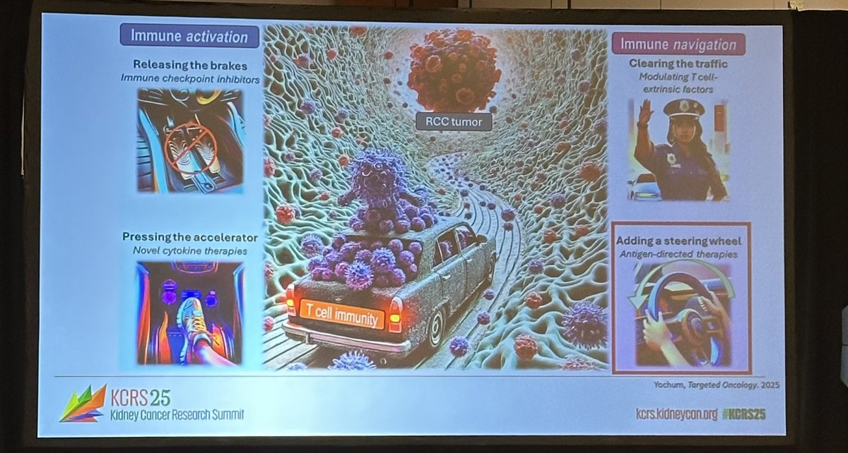 Yüksel Ürün (@dryukselurun) on Twitter photo Excellent work by <a href="/BraunMDPhD/">David Braun</a> at #KCRS25
Personalized vaccines in kidney cancer, turning concept into clinic.
Immune activation, navigation, precision. The future is driving fast.
<a href="/kidneycan/">KidneyCAN</a> <a href="/IKCCorg/">IKCC Kidney Cancer</a> <a href="/advocatekidneys/">Bryan Lewis</a> <a href="/DrChoueiri/">Toni Choueiri, MD</a> <a href="/HHammersMD/">Hans Hammers</a> <a href="/OncoAlert/">OncoAlert</a> <a href="/montypal/">Sumanta K. Pal, MD, FASCO</a> <a href="/NazliDizman/">Nazli Dizman</a> Excellent work by <a href="/BraunMDPhD/">David Braun</a> at #KCRS25
Personalized vaccines in kidney cancer, turning concept into clinic.
Immune activation, navigation, precision. The future is driving fast.
<a href="/kidneycan/">KidneyCAN</a> <a href="/IKCCorg/">IKCC Kidney Cancer</a> <a href="/advocatekidneys/">Bryan Lewis</a> <a href="/DrChoueiri/">Toni Choueiri, MD</a> <a href="/HHammersMD/">Hans Hammers</a> <a href="/OncoAlert/">OncoAlert</a> <a href="/montypal/">Sumanta K. Pal, MD, FASCO</a> <a href="/NazliDizman/">Nazli Dizman</a>