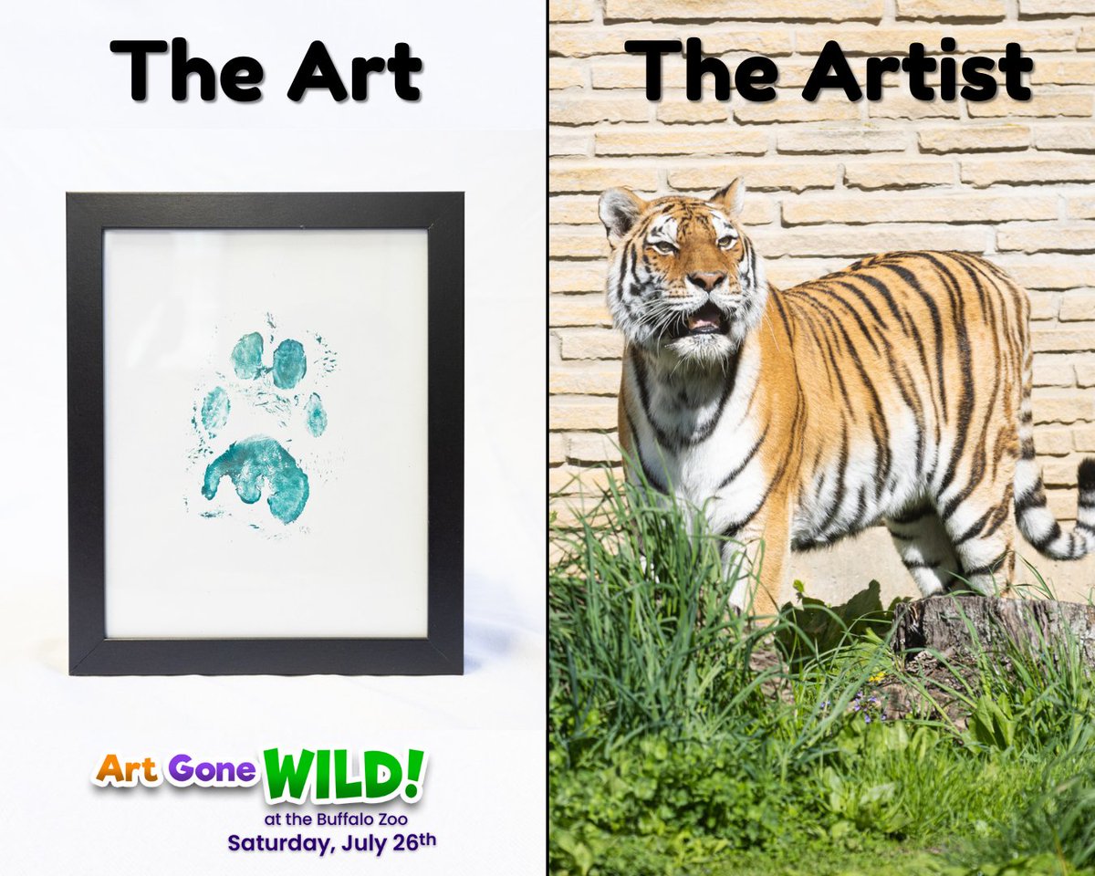 buffalozoo's tweet image. You can take home incredible art like this made by our Buffalo Zoo animals at Art Gone Wild! 🐾

Enjoy auctions, live art making, art vendors and so much more at this family-friendly night of creativity and conservation! 🎨

📆 5-8:30 p.m. | July 26
🎟️: bit.ly/463h9RY