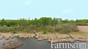FarmsPrairies's tweet image. 99.99 acre ranch could be yours in St. Phillips, Saskatchewan ⏬
farms.com/farm-real-esta…
Large body of water, mix of bush and tree lines, and perimeter fencing.
#FarmRealEstate