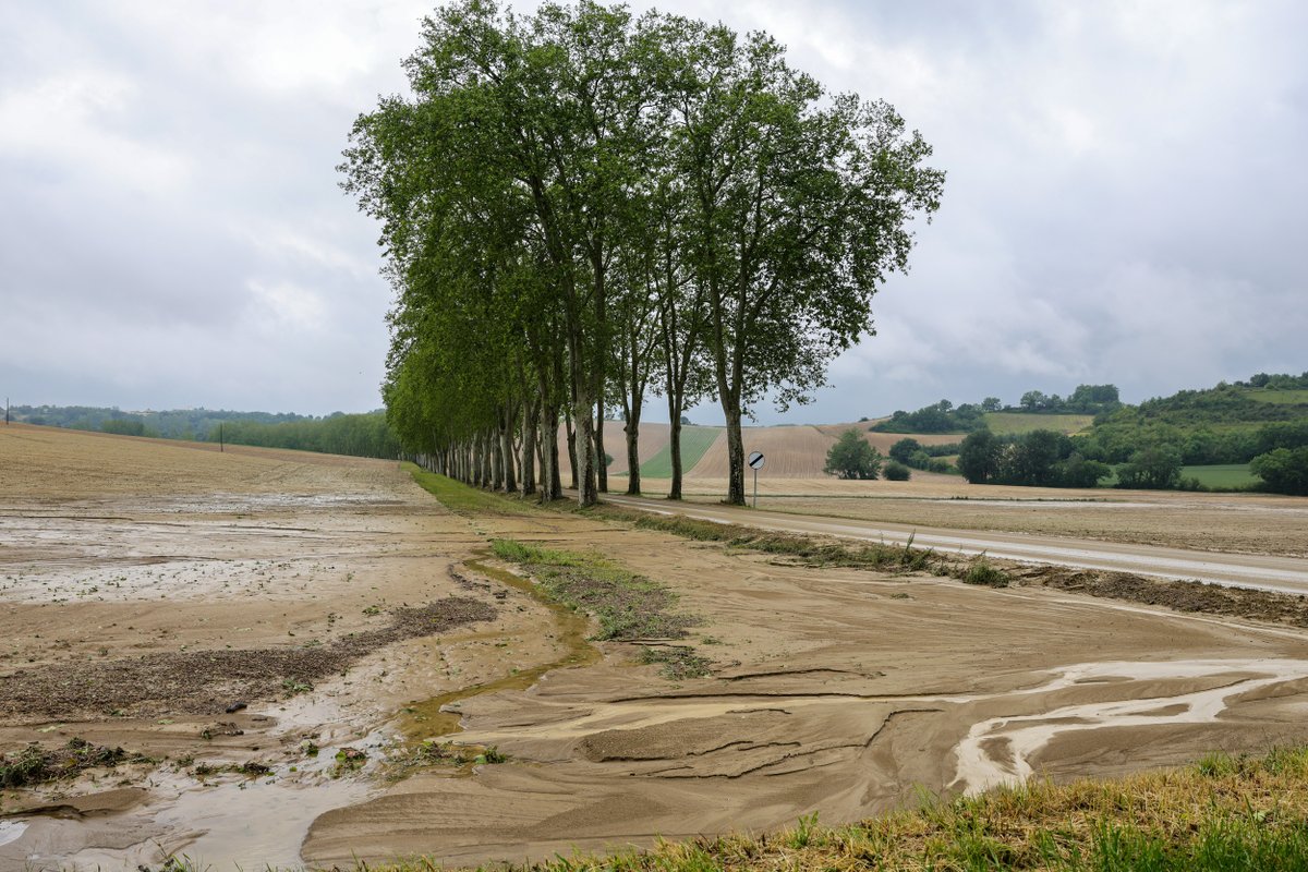Remise aujourd'hui du chèque de 30 000 € au syndicat de l'ail rose de Lautrec.

J'avais pris cet engagement au lendemain de l'orage du 19 mai qui avait décimé la récolte pour apporter une aide rapide et concrète aux producteurs durement touchés. Ils sont nombreux à avoir tout