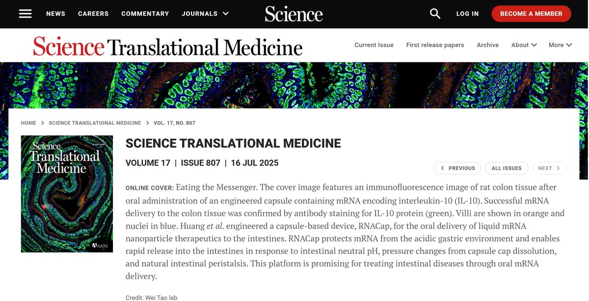 Wei Tao (@weitaolab) on Twitter photo Our new paper is published as a Cover Story -"Eating the Message" in <a href="/ScienceTM/">Science Translational Medicine</a>. This paper demonstrates that oral mRNA delivery to the intestines is feasible using our RNACap design. Congrats to our Rising Star <a href="/XiangangHuang/">Xiangang Huang</a> and the team! Our new paper is published as a Cover Story -"Eating the Message" in <a href="/ScienceTM/">Science Translational Medicine</a>. This paper demonstrates that oral mRNA delivery to the intestines is feasible using our RNACap design. Congrats to our Rising Star <a href="/XiangangHuang/">Xiangang Huang</a> and the team!
