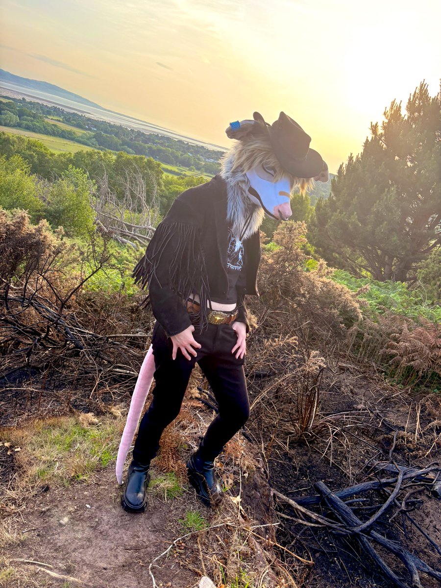 Save a horse, ride a possum 🤠🐀
