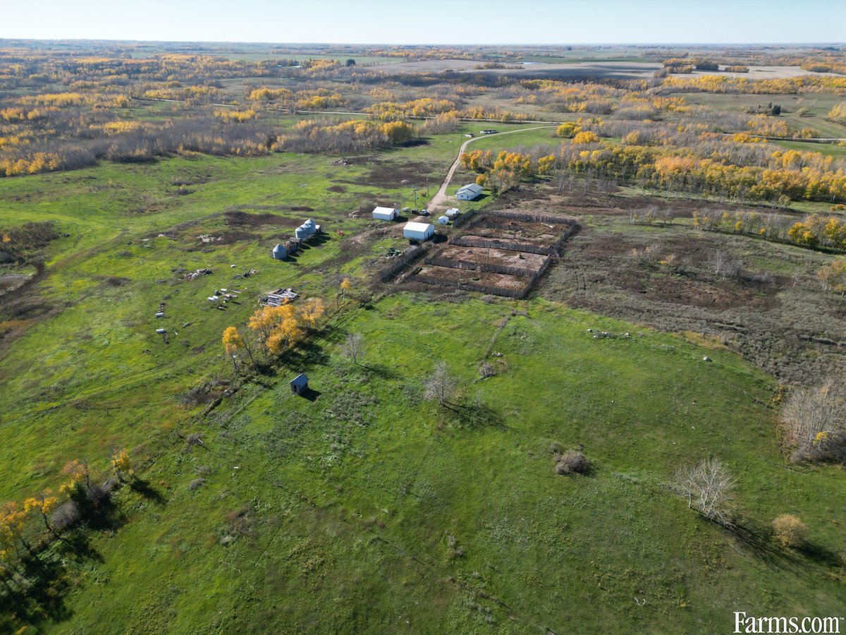 FarmsPrairies's tweet image. 324 acre beef farm is up for grabs in Roblin, Manitoba 🔻
Established yard site, bungalow, garage, 1/2 section fenced & cross fenced, perimeter fence, 30' x 30' Goodon barn, 8 steel pens, and much more.
farms.com/farm-real-esta…
#FarmRealEstate