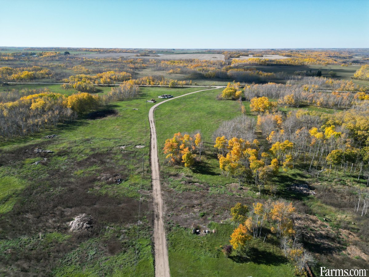 FarmsPrairies's tweet image. 324 acre beef farm is up for grabs in Roblin, Manitoba 🔻
Established yard site, bungalow, garage, 1/2 section fenced & cross fenced, perimeter fence, 30' x 30' Goodon barn, 8 steel pens, and much more.
farms.com/farm-real-esta…
#FarmRealEstate