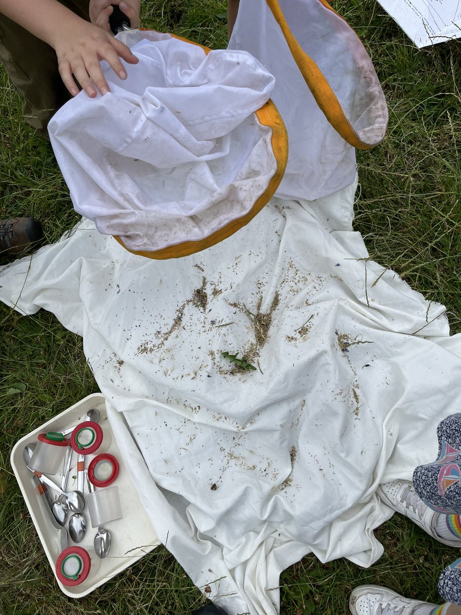 WOLCT's tweet image. Art is everywhere, as the children at our Coalie Park event learned today. They made leaf rubbings, explored observational drawing with bugs they found grass sweeping, and we all had great outdoor fun.