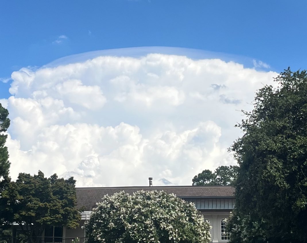 DavidACoun's tweet photo. My daughter who is studying Environmental Sciences and Meteorology took this photo.  Cloud top almost makes it look like a UFO is hiding in the clouds. A storm is brewing   @katcampbellwx @wralweather https://t.co/Xm9l1z0OvD