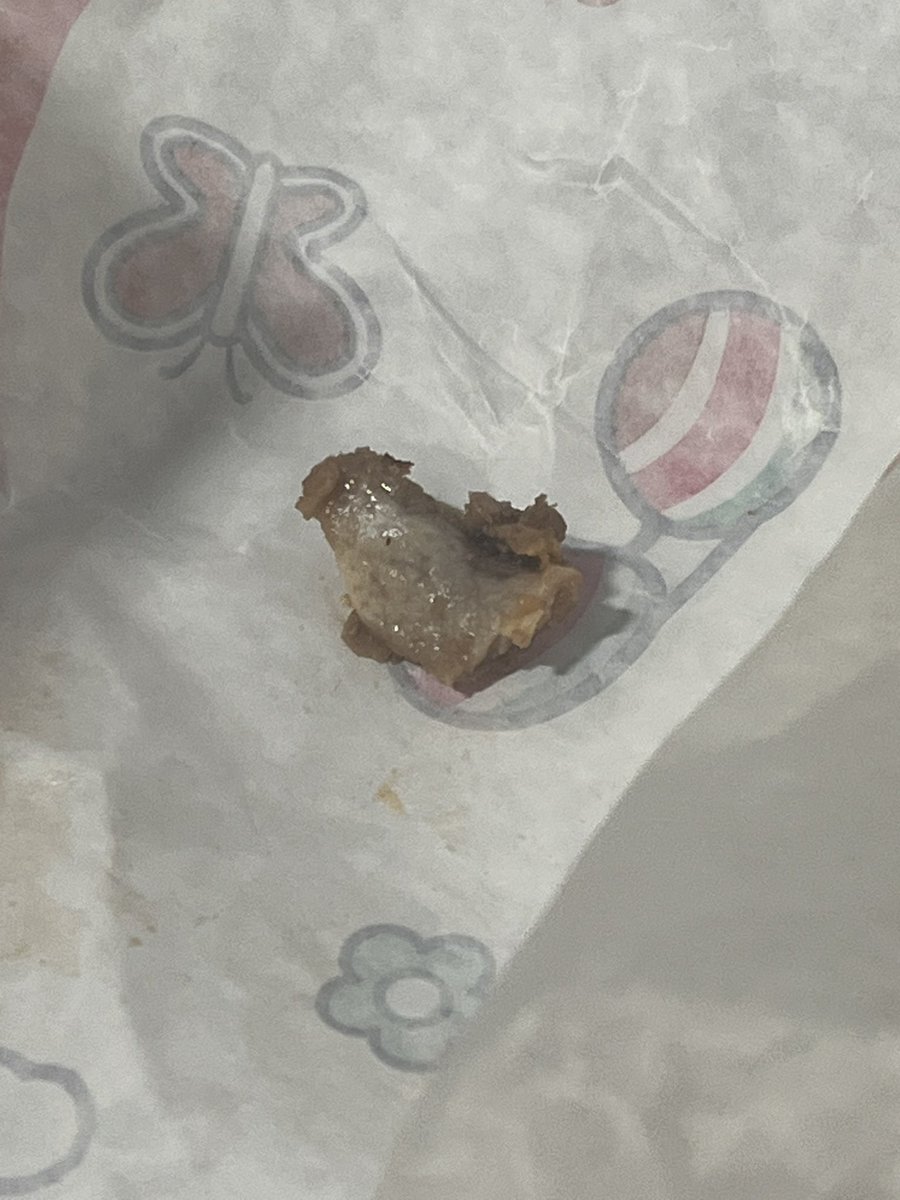 YoungTrautz's tweet photo. @Wawa why tf am I finding BONES in my cheesesteak from WaWa!?!?!? https://t.co/pDQ33Rj4tk