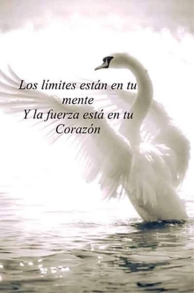 Psico-Avanzando (@avanzandoacasa) on Twitter photo 