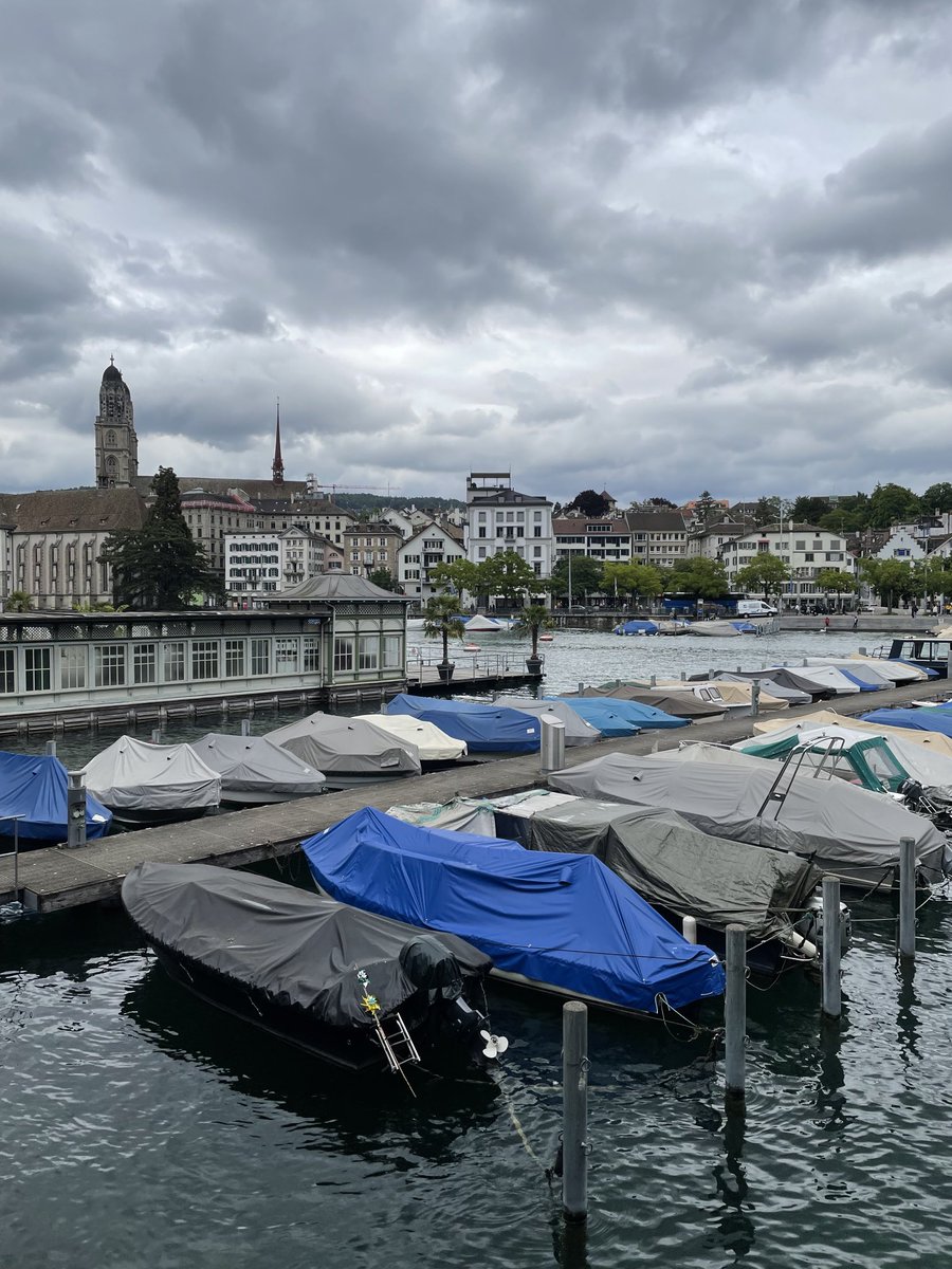 Nicole Zierer tweet media