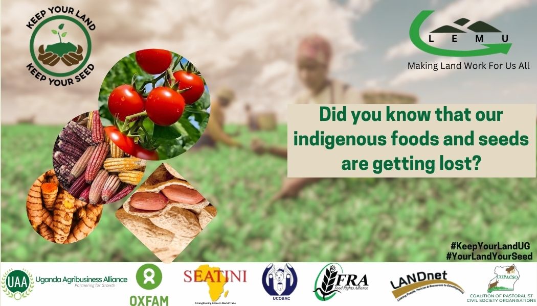 Are there certain seeds and foods that you knew about, saw or even enjoyed but are no longer accessible?

#KeepYourLandKeepYourSeed
#ReviveIndigenousFoodsandSeeds
#OurLandOurFoodOurRight