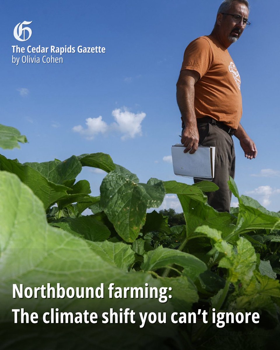 IMidwest's tweet image. How is climate change reshaping farms in the Upper Midwest?
In Iowa, flower farmer Holly Jones is rethinking her crops as temps rise and frost dates shift.
USDA data shows planting zones are shifting north.
Read more here: investigatemidwest.org/2025/07/16/a-w…
#ClimateChange #AgNews