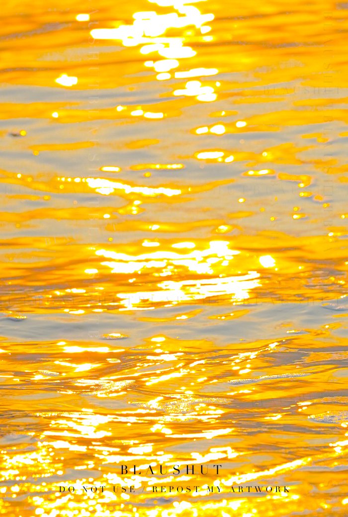 태양이 일어나는 시간