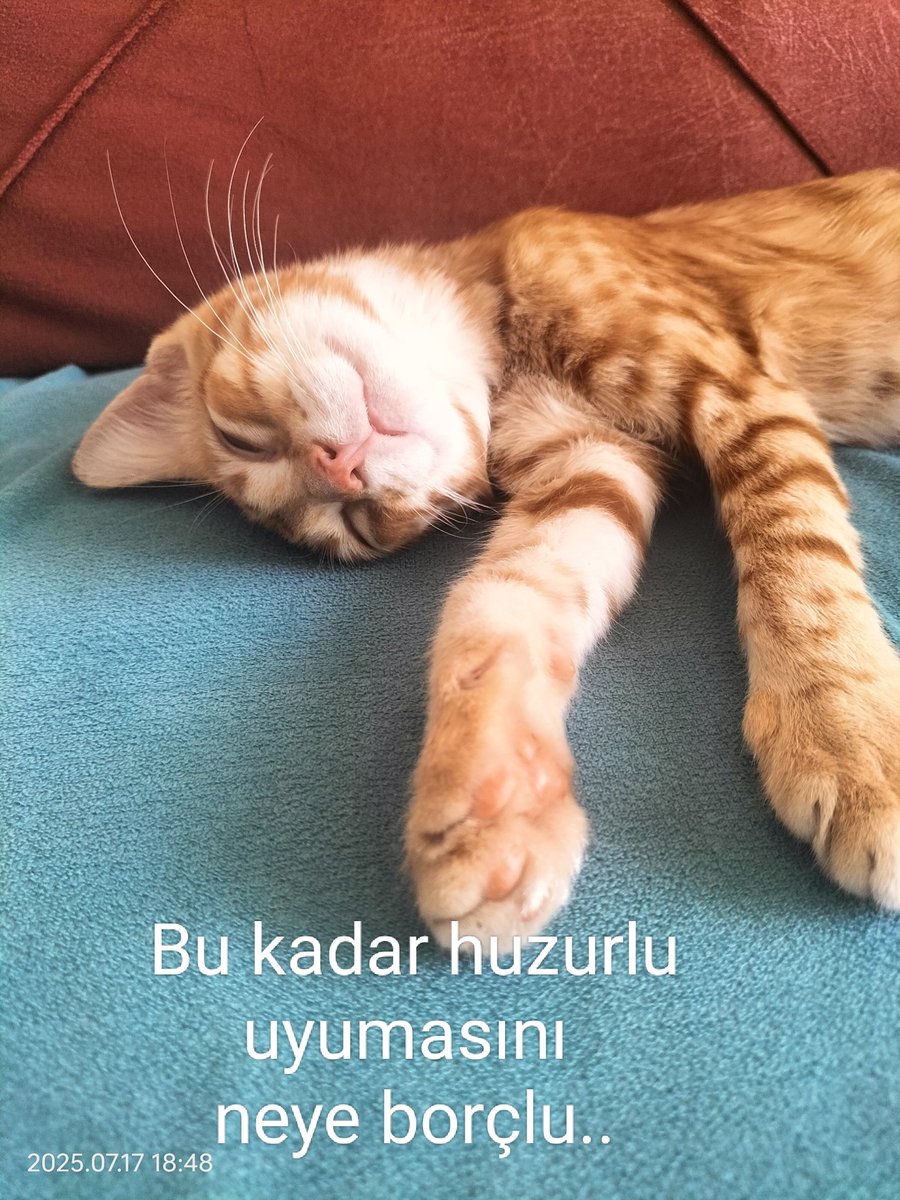 İnsanı en çok huzursuz edenlerden biri de gelecek kaygısıdır. Daha gerçekleşmemiş bir olay için şimdiden strese girmektir. Umut, gün doğmadan neler doğar dedirten ve bizi gayrete sevkeden motivasyon kaynağımızdır.