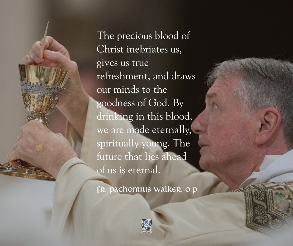 dominicanfriars's tweet image. The precious blood of Christ inebriates us, gives us true refreshment, and draws our minds to the goodness of God. By drinking in this blood, we are made eternally, spiritually young. The future that lies ahead of us is eternal.
If hope deals with a future, difficult good, how…