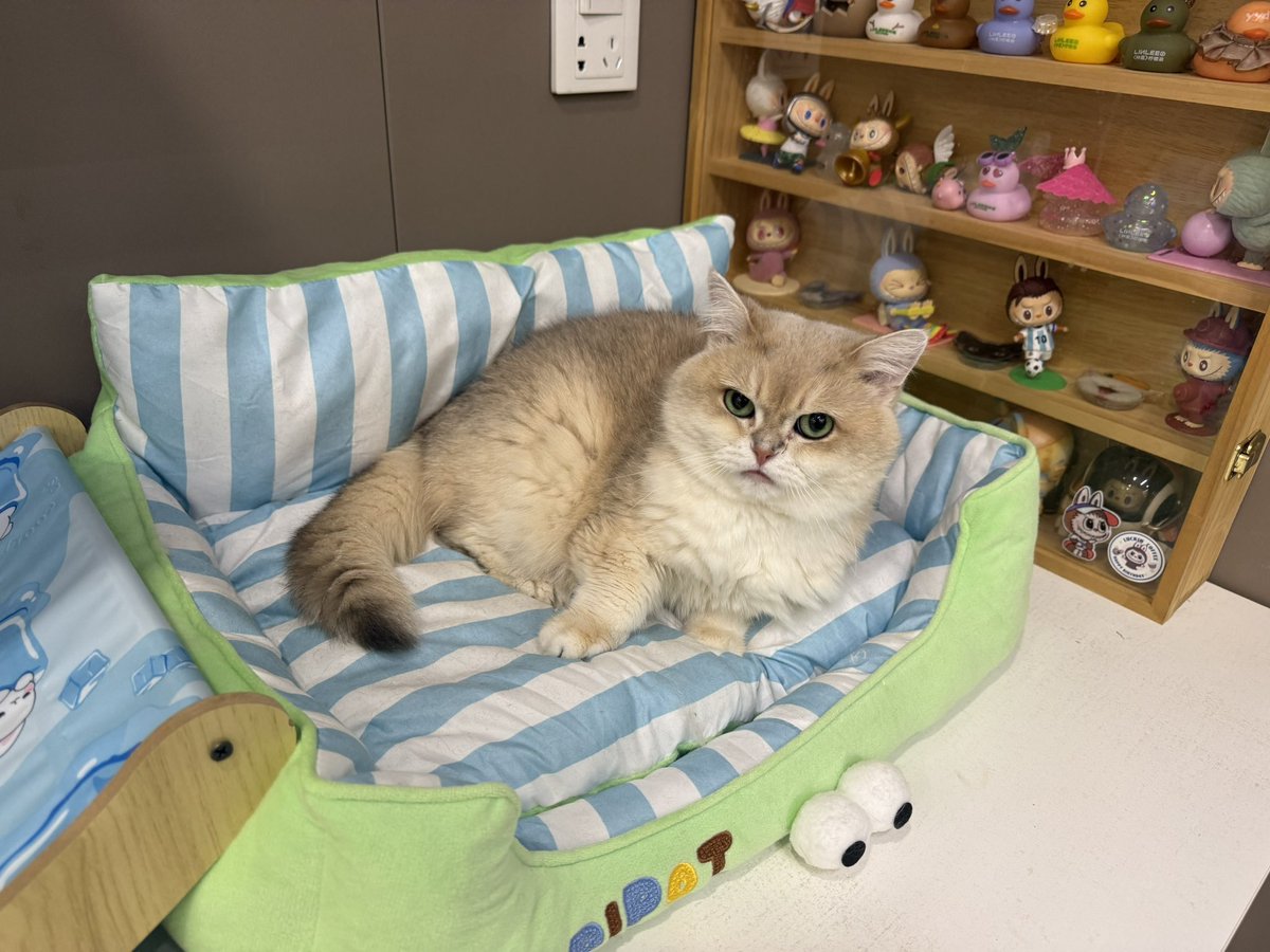 这一脸看不起人的样啊