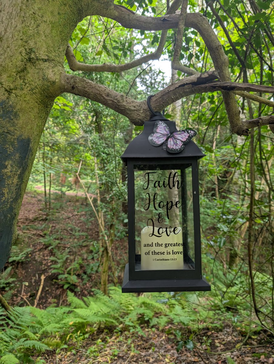 AnarjJim's tweet image. My ED is having a bad day today, I've been trying to help as much as I can. I was out walking in the forest later this afternoon and found this, randomly hanging on a tree.
I'm taking it as a message ✝️♥️