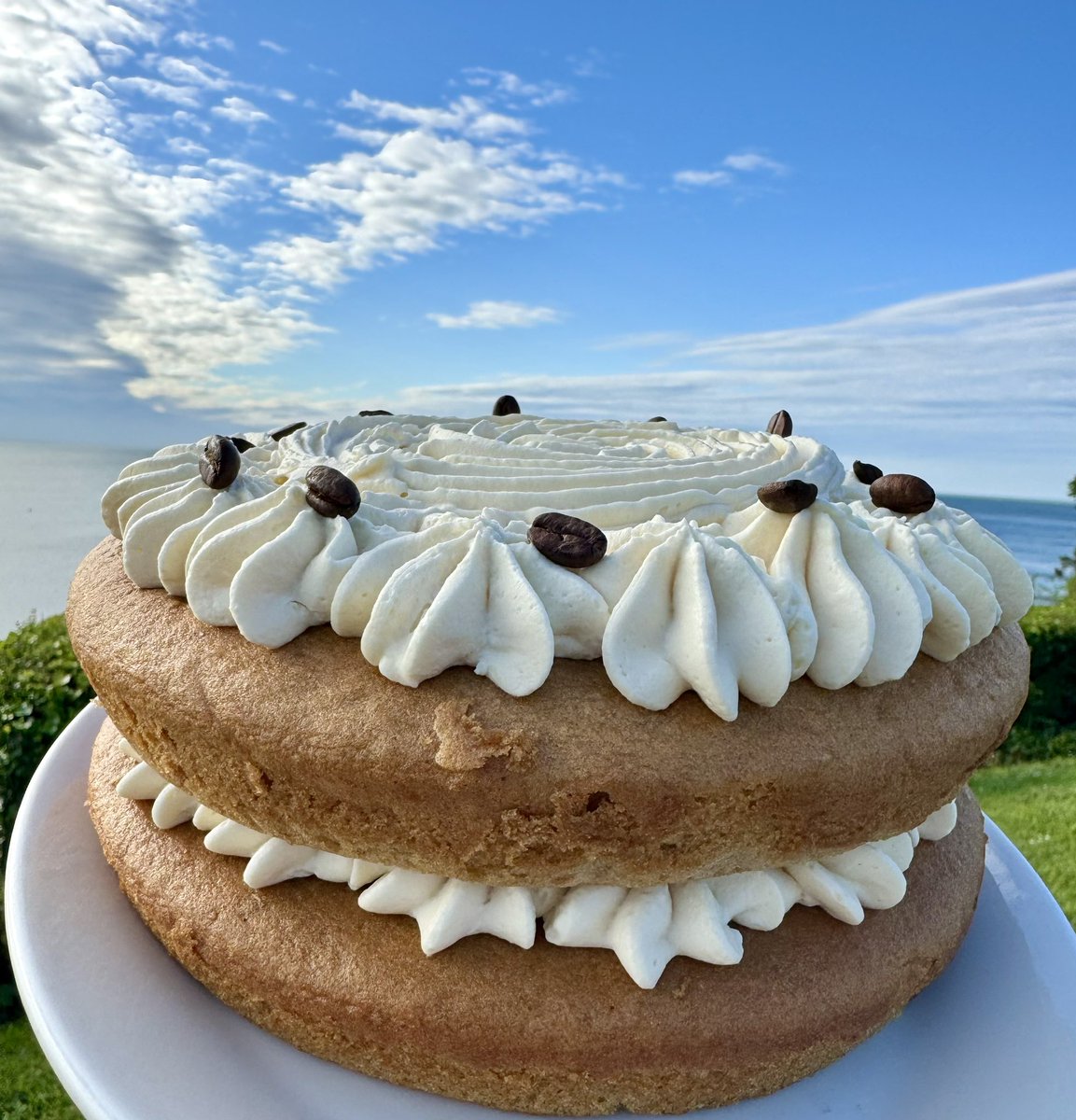 Blueberry's cafe tweet media