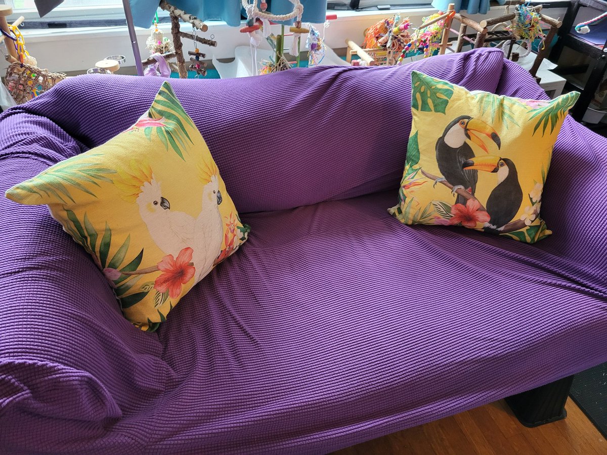 PepperNPals's tweet image. So I moved one of our futons into the bird room, and immediately Queso was like "wow so much more space to poop on you." So my previous, small bamboo mat covers ain't gonna cut it lol. I found this to be my futon poop shield, so we'll see how it works.