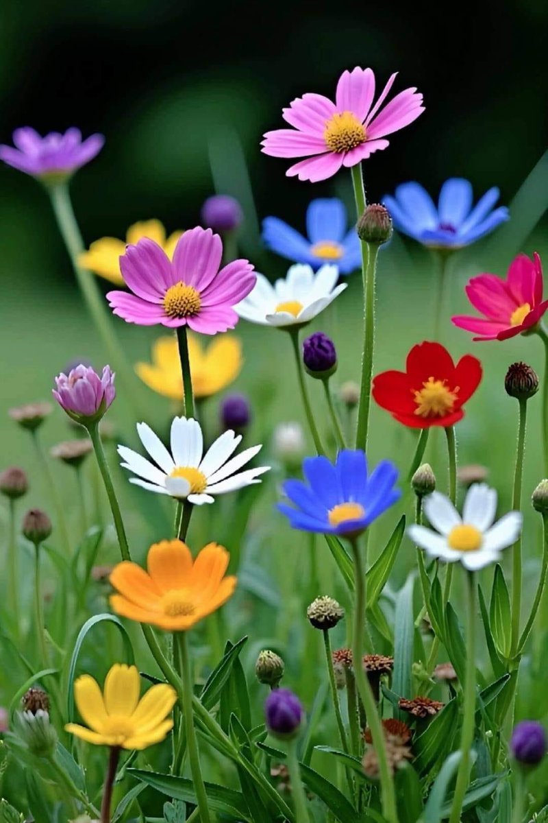 Anam Kanwal (@anm_khn) on Twitter photo #GPG ðž
<a href="/anm40/">Anam Kanwal</a>
<a href="/Ghz79/">â ðŸððð«ðððð ððððð â</a>
<a href="/4mr88/">Aamir Hayat Awan</a>
<a href="/Zia1O/">â€ðð âðððŠðððð£ðª</a>
<a href="/_oztr/">Ãzleâïž ðâªïž#Nika -àœŒ ð¯ïžð¥¶</a>
<a href="/_lub1/">â¿ððððð ðšððâ¿</a>
<a href="/_1gul/">Aαɟα àž'Åàžfàºàži</a>
<a href="/1SJ_2/">Sufia SHahð</a>
<a href="/bnte_/">ØšÙÙÙÙÙÙÙÙÙÙÙÙÙÙÙÙÙÙÙÙÙØªÙÙÙÙÙÙÛ</a>
<a href="/N1a1l/">ââŠððð¬ð¢ð« ð€ð²ðð§ð¢âŠâ</a>
<a href="/_1rha/">ؚاؚا Ú©Û ÙØ§ÚÙÛ</a>
<a href="/1Aara_/">â° آراءخاÙ°â</a>
<a href="/9oshg/">ðž ÙÙØŽÛðž</a>
<a href="/IK60K/">ðððððð¢ ðŸð ðððð</a>
<a href="/Trq88/">âïžâžðÎ±ÉŸÎ¹Ï ðÏ
ÉŸÆÎ±È¥Î±à¿</a>
<a href="/Fat9T/">Arshiað¥ð</a>
<a href="/1Lvz0/">ð¿ð¶vðððð¶_ð</a>
<a href="/zz70m/">ðžAmeer Zahirðµð°</a>
<a href="/1qqmr/">ðŠððð</a>
<a href="/1Ashi5/">Aisha Hashmi</a>
<a href="/glmsjd/">ðºððððð
âš</a>
<a href="/R1_Adv/">Ridwan R1ð®ð©</a>
<a href="/4Usmn/">ð¡ðªð·ðª ð€ðŒð¶ðªð·</a>
<a href="/m80mh/">Muhammad Hilal</a>
<a href="/Hfz672/">Hafeezâ€ð€ð</a>
<a href="/Sd_S10/">Sadam Rajput</a>
<a href="/__Libra1/">ððððð ððððð</a>
<a href="/OSabahci/">Ãzkan Sabahci</a>
<a href="/iam_farha/">Farha Khan</a>
<a href="/Sc2017W/">SC2017</a>
<a href="/maramzanea1/">maramzanea</a>
<a href="/AhemedCaptain/">Captain Sarfaraz AHEMED</a>
<a href="/AminChaudhry12/">Amin Chaudhry</a> #GPG ðž
<a href="/anm40/">Anam Kanwal</a>
<a href="/Ghz79/">â ðŸððð«ðððð ððððð â</a>
<a href="/4mr88/">Aamir Hayat Awan</a>
<a href="/Zia1O/">â€ðð âðððŠðððð£ðª</a>
<a href="/_oztr/">Ãzleâïž ðâªïž#Nika -àœŒ ð¯ïžð¥¶</a>
<a href="/_lub1/">â¿ððððð ðšððâ¿</a>
<a href="/_1gul/">Aαɟα àž'Åàžfàºàži</a>
<a href="/1SJ_2/">Sufia SHahð</a>
<a href="/bnte_/">ØšÙÙÙÙÙÙÙÙÙÙÙÙÙÙÙÙÙÙÙÙÙØªÙÙÙÙÙÙÛ</a>
<a href="/N1a1l/">ââŠððð¬ð¢ð« ð€ð²ðð§ð¢âŠâ</a>
<a href="/_1rha/">ؚاؚا Ú©Û ÙØ§ÚÙÛ</a>
<a href="/1Aara_/">â° آراءخاÙ°â</a>
<a href="/9oshg/">ðž ÙÙØŽÛðž</a>
<a href="/IK60K/">ðððððð¢ ðŸð ðððð</a>
<a href="/Trq88/">âïžâžðÎ±ÉŸÎ¹Ï ðÏ
ÉŸÆÎ±È¥Î±à¿</a>
<a href="/Fat9T/">Arshiað¥ð</a>
<a href="/1Lvz0/">ð¿ð¶vðððð¶_ð</a>
<a href="/zz70m/">ðžAmeer Zahirðµð°</a>
<a href="/1qqmr/">ðŠððð</a>
<a href="/1Ashi5/">Aisha Hashmi</a>
<a href="/glmsjd/">ðºððððð
âš</a>
<a href="/R1_Adv/">Ridwan R1ð®ð©</a>
<a href="/4Usmn/">ð¡ðªð·ðª ð€ðŒð¶ðªð·</a>
<a href="/m80mh/">Muhammad Hilal</a>
<a href="/Hfz672/">Hafeezâ€ð€ð</a>
<a href="/Sd_S10/">Sadam Rajput</a>
<a href="/__Libra1/">ððððð ððððð</a>
<a href="/OSabahci/">Ãzkan Sabahci</a>
<a href="/iam_farha/">Farha Khan</a>
<a href="/Sc2017W/">SC2017</a>
<a href="/maramzanea1/">maramzanea</a>
<a href="/AhemedCaptain/">Captain Sarfaraz AHEMED</a>
<a href="/AminChaudhry12/">Amin Chaudhry</a>