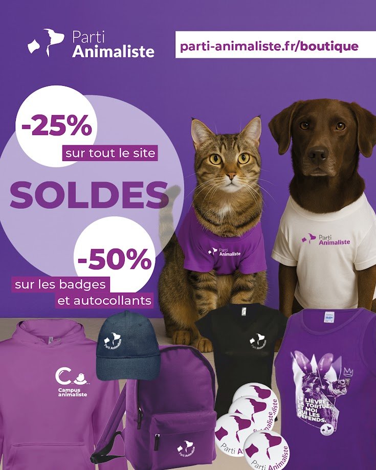 🛍️ Déjà un mois que les soldes ont commencé et vous hésitez
encore ? 🤔

C’est pourtant le moment d’en profiter, il fait chaud et les prix ont littéralement fondu. 

Les animaux comptent, votre soutien compte aussi ! 
parti-animaliste.fr/boutique