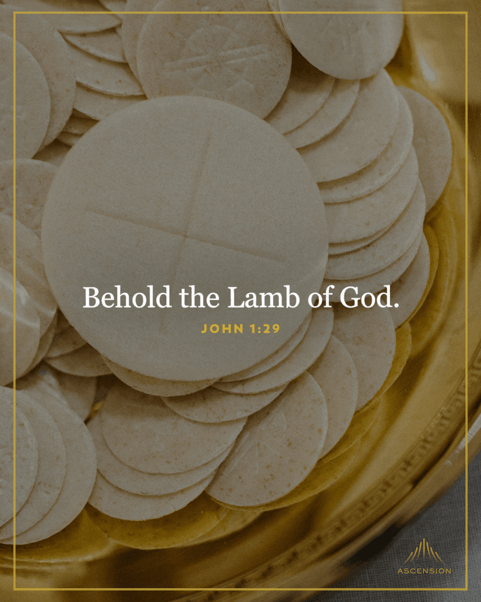 AscensionPress's tweet image. “Behold the Lamb of God, behold him who takes away the sins of the world. Blessed are those called to the Supper of the Lamb."