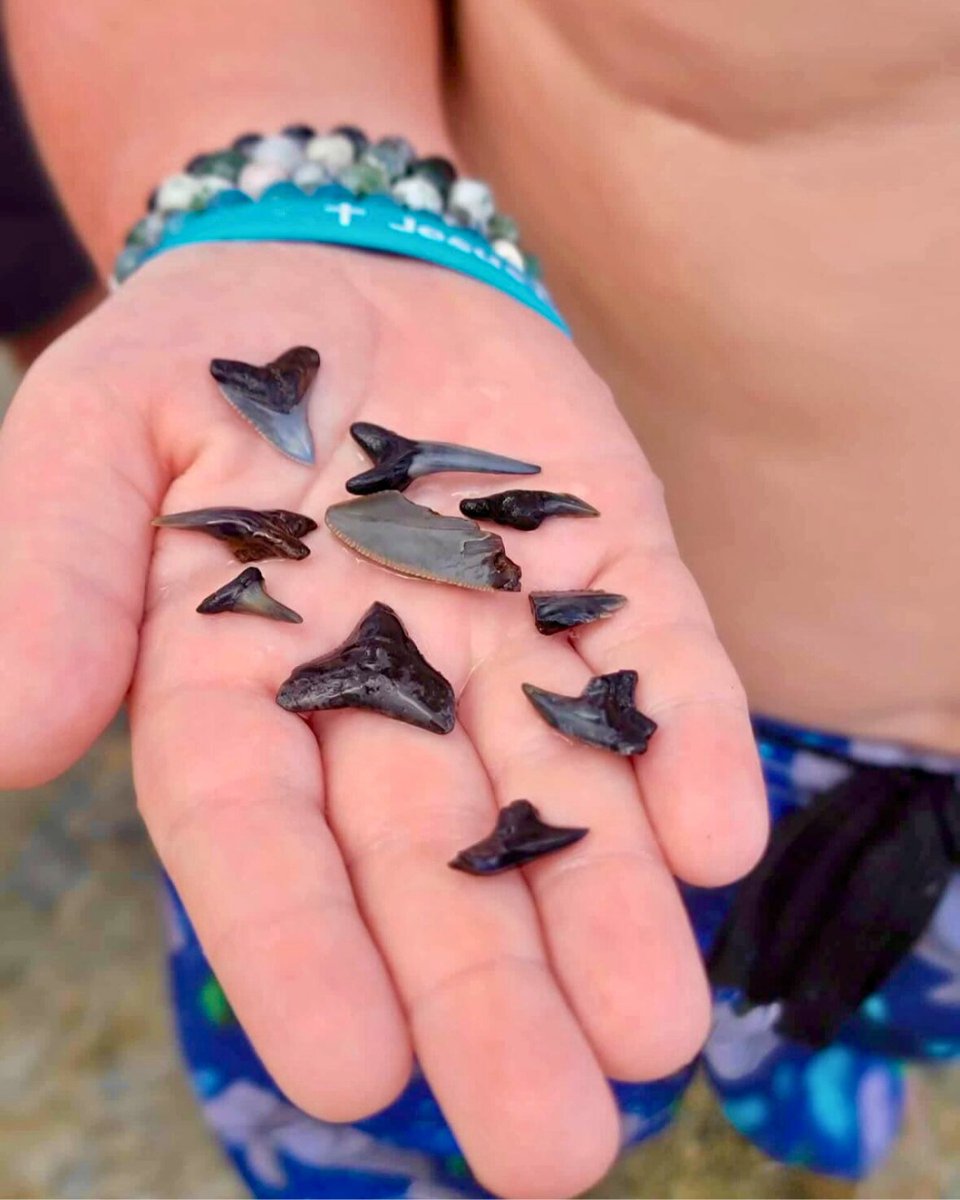 Mac is thriving after having three heart surgeries before age three.

He visits us each year for follow-up care and recently enjoyed a day on the water with Cornerstone Charter, exploring his love for marine life. 🐬

#ImWhatsPossible