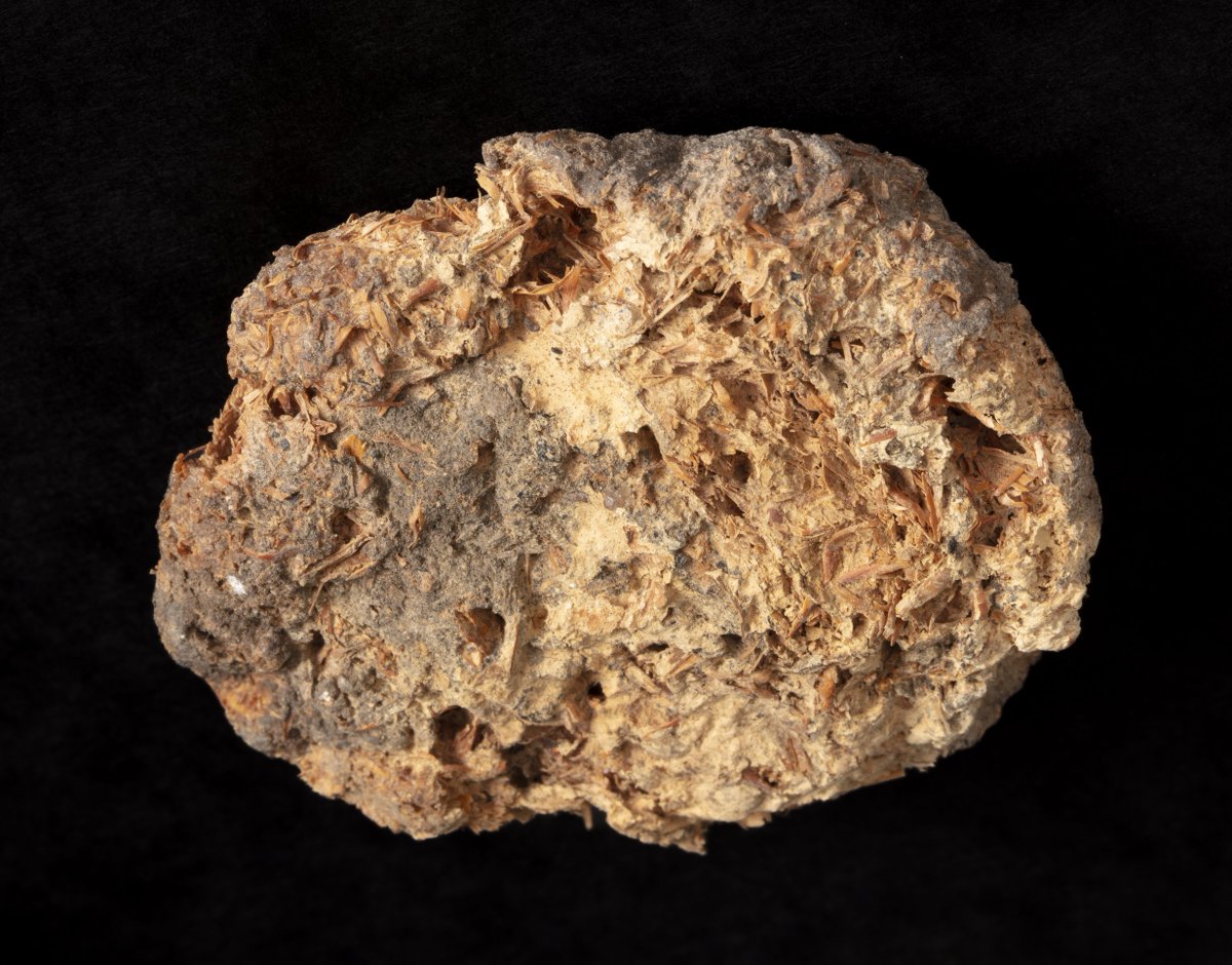 sciencemuseum's tweet image. Are you ready to find out what the Future of Food holds? 🍔
Opening only a week from now, our new free interactive exhibition features objects that explore the innovative possibilities in future food production, from an ancient 1500 BCE loaf of bread to a chicken genetically…