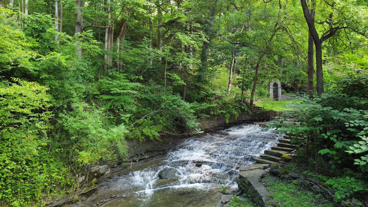 Exciting news! 🌟 NPCA has received approximately $79,000 in funding from @onenvironment through the Great Lakes Local Action Fund.

This funding will support two creek habitat restoration projects in 12 Mile Creek, an important waterway in the Niagara Peninsula watershed. 🌊🌳