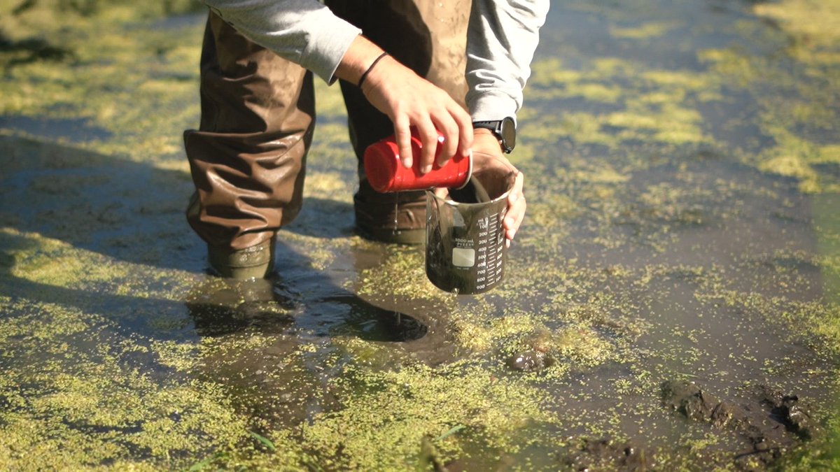 Starting July 18th, <a href="/SCSeaGrant/">S.C. Sea Grant Consortium</a> will host a webinar series on contaminants of emerging concern, featuring researchers from the Southeastern U.S. and the Great Lakes, and offering the opportunity to explore perspectives on shared challenges.

Register at scseagrant.org/regional-cec-r…