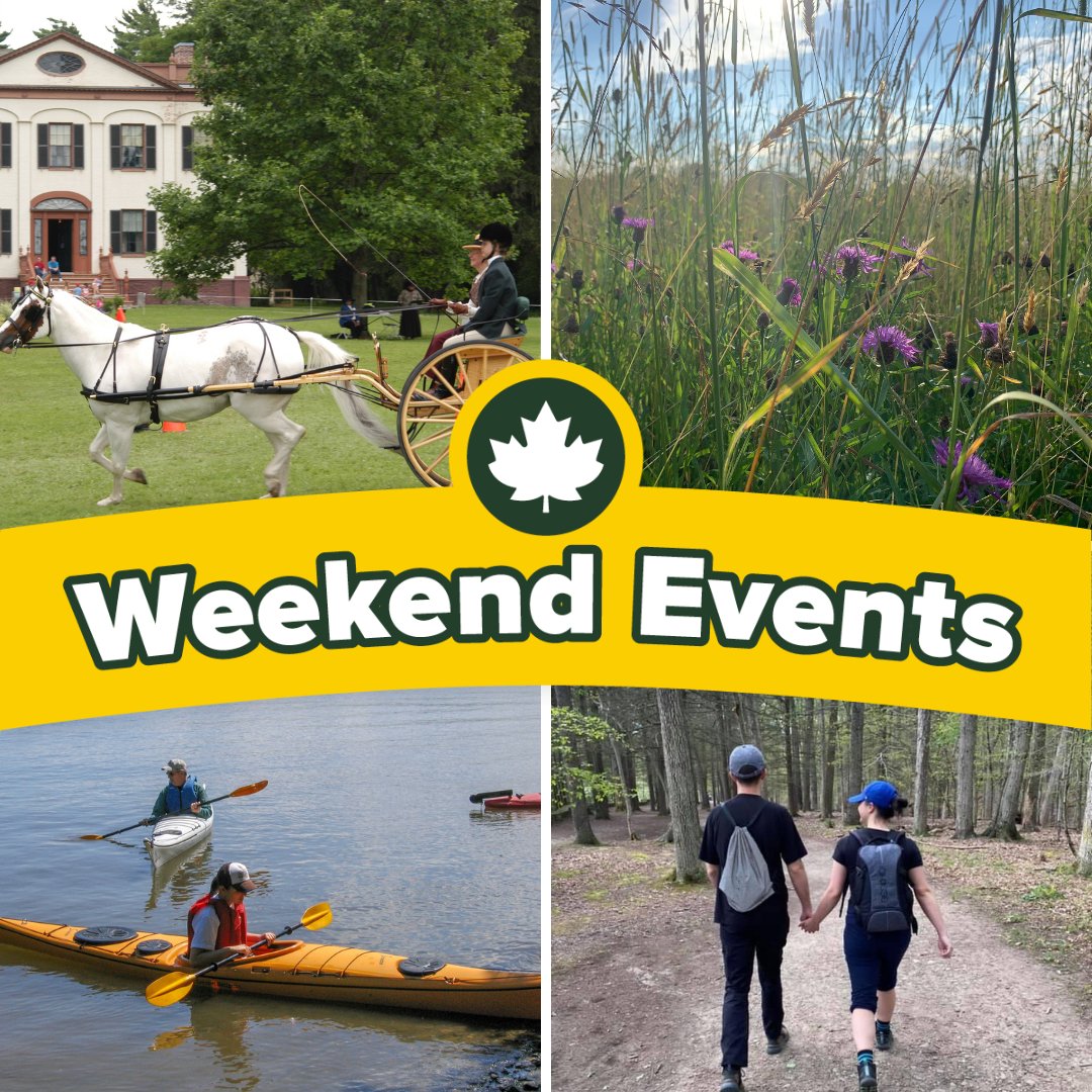 NYstateparks's tweet image. July's flying by! Seize the season at an event at a state park or historic site near you this weekend. Experience kayaking, go on a guided hike, check out the Driving Competition at Lorenzo State Historic Site, or discover more. loom.ly/_81cVbA