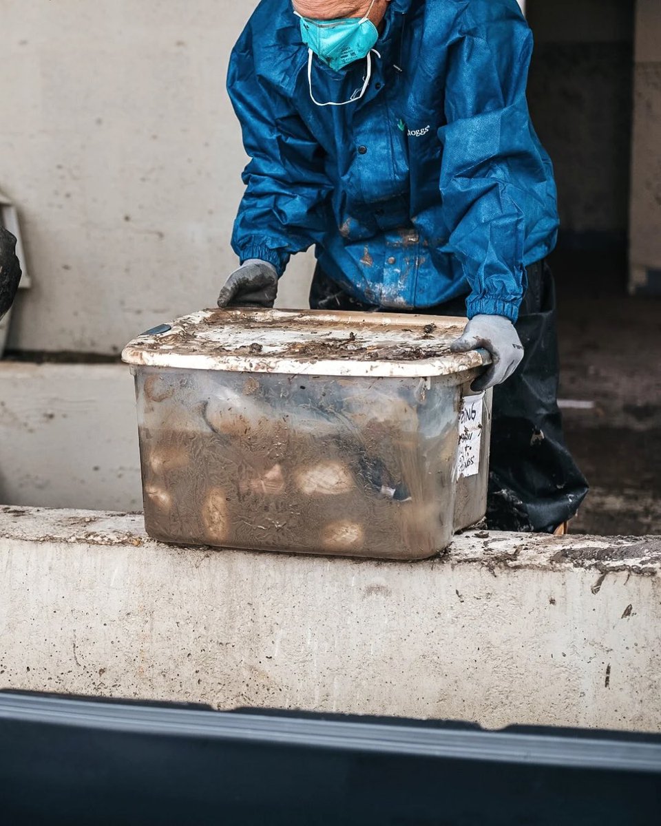 AllHandsHearts's tweet image. We’ve wrapped up our work on Will’s home in Kerr County, Texas!
With this work complete, our team continues moving forward, supporting more families still facing the aftermath of the flood.