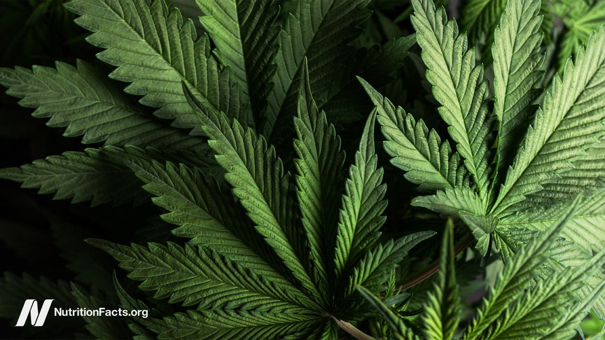 nutrition_facts's tweet image. Smoking cannabis may help with symptoms of inflammatory bowel disease (IBD) in the short term, but it may make the long-term prognosis worse. see.nf/3FRiKzR